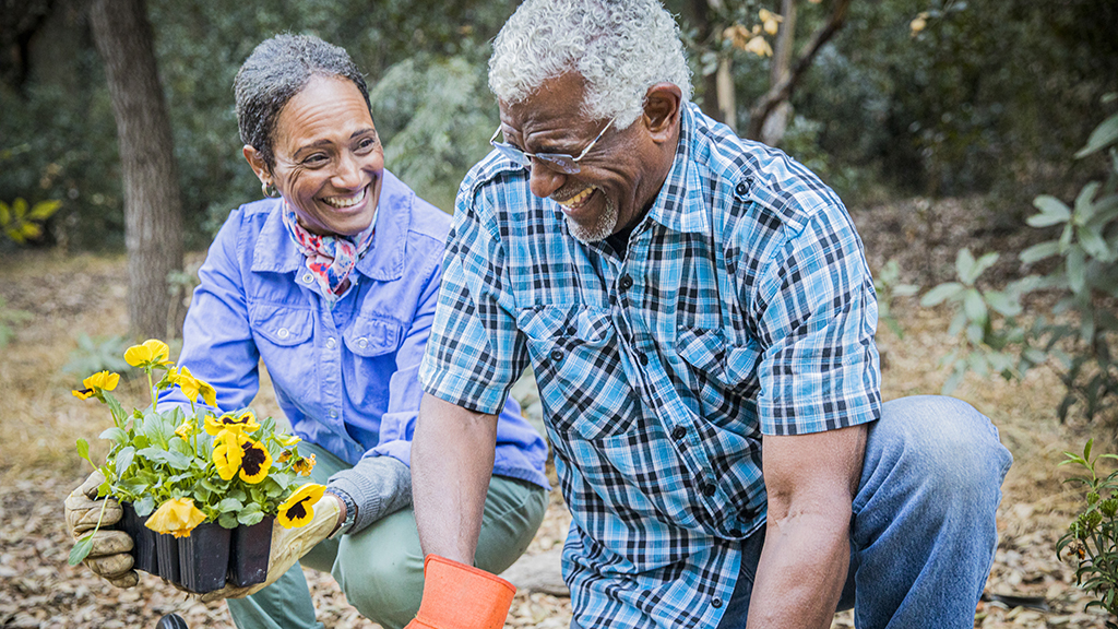 Older couple gardening together